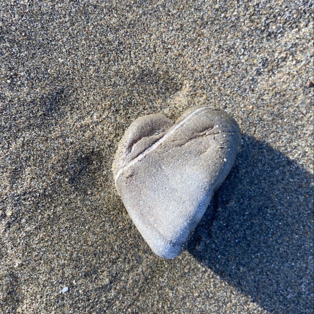 Meet your Posher, Kiran